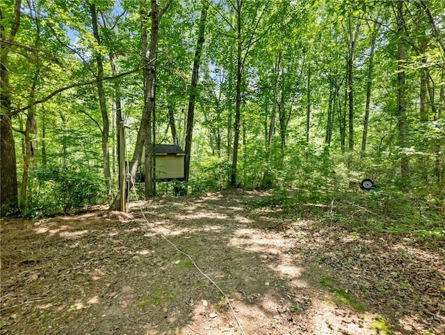 5020 Bayberry Dr, Cumming, GA 30040 - view of yard featuring a forest view