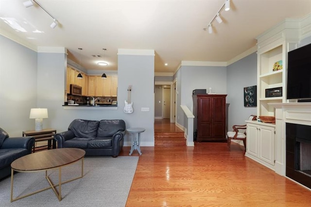 living room featuring hardwood / wood-style flooring and crown molding