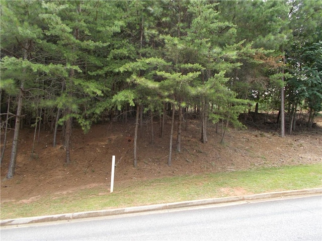 3533 Lake Ridge Dr, Gainesville, GA 30506