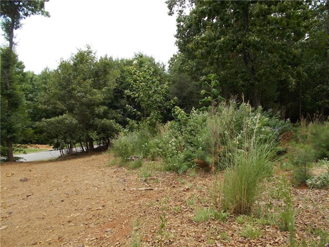 3533 Lake Ridge Dr, Gainesville, GA 30506