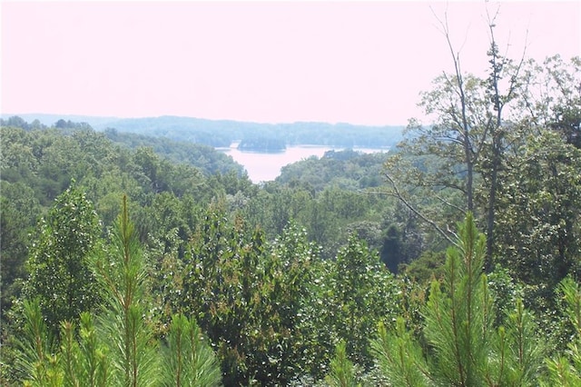 3533 Lake Ridge Dr, Gainesville, GA 30506