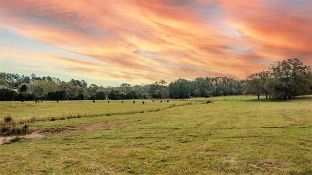 nature at dusk featuring a rural view