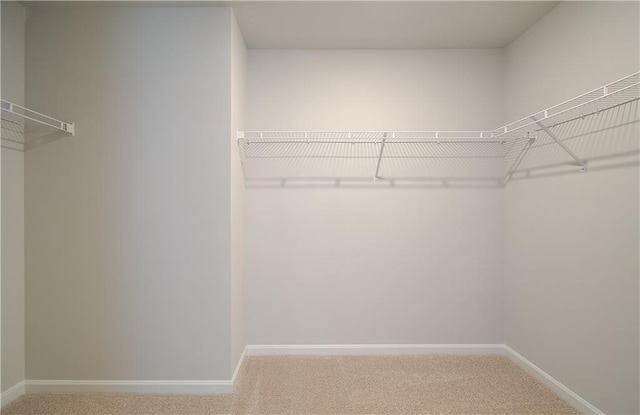 spacious closet with carpet flooring