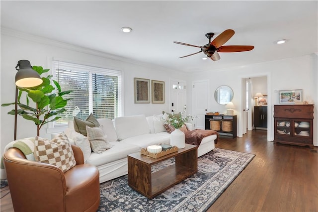 living room featuring ceiling fan, crown molding, and dark wood-type flooring