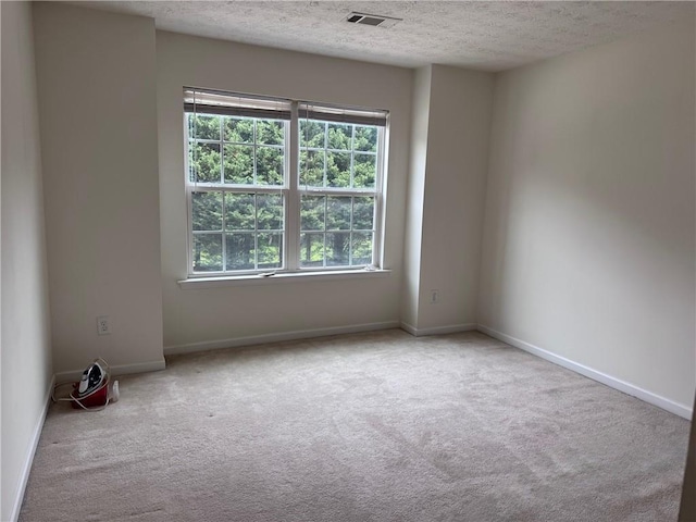 5421 Skylar Creek Ln, Buford, GA 30518 - spare room with carpet floors, a textured ceiling, and plenty of natural light
