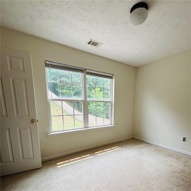 5421 Skylar Creek Ln, Buford, GA 30518 - carpeted empty room featuring healthy amount of natural light and a textured ceiling