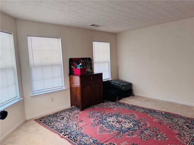 5421 Skylar Creek Ln, Buford, GA 30518 - office space featuring light colored carpet and a textured ceiling