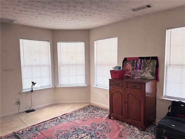 5421 Skylar Creek Ln, Buford, GA 30518 - living area featuring light colored carpet and a textured ceiling