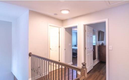 hallway featuring dark wood-type flooring