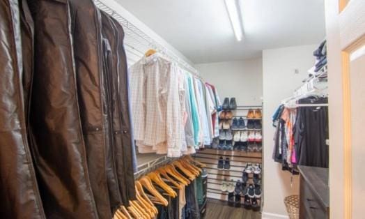 walk in closet featuring hardwood / wood-style floors