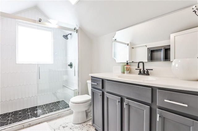 1136 Moreland Pl SE, Atlanta, GA 30316 - full bath featuring lofted ceiling, toilet, vanity, a shower stall, and healthy amount of natural light