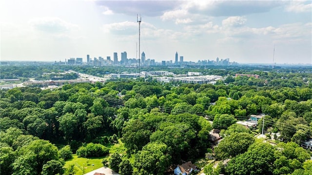 1136 Moreland Pl SE, Atlanta, GA 30316 - bird's eye view of skyline