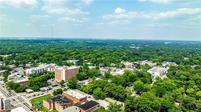 1136 Moreland Pl SE, Atlanta, GA 30316 - aerial view of a forest