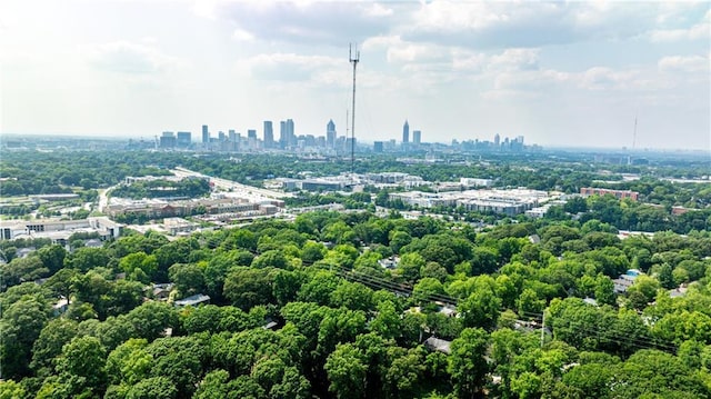 1136 Moreland Pl SE, Atlanta, GA 30316 - aerial view of skyline