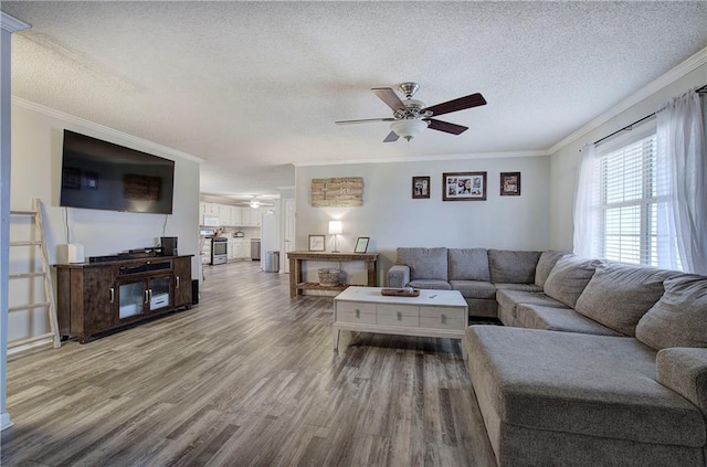 living area featuring ceiling fan, ornamental molding, and wood finished floors