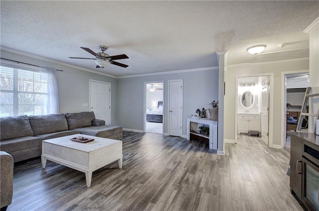 living room with a textured ceiling, ceiling fan, ornamental molding, and wood finished floors