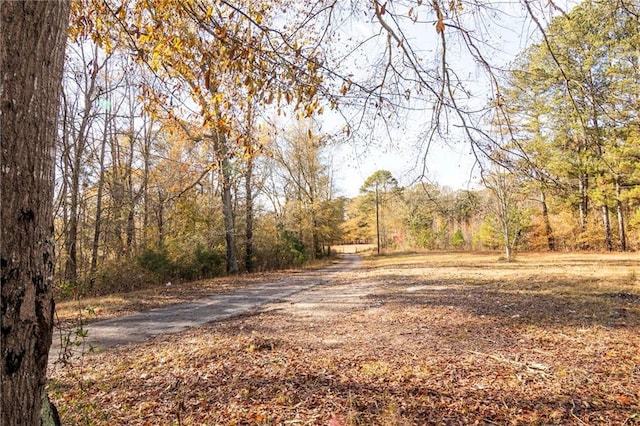 view of street with a wooded view