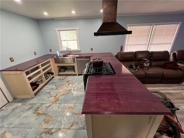 kitchen with gas range, open floor plan, a sink, range hood, and stainless steel dishwasher