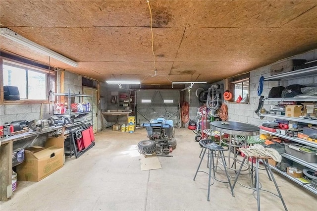 storage area with a garage