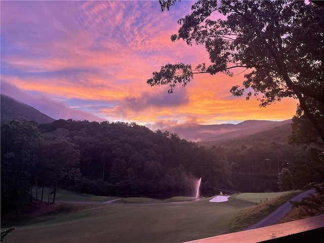 property view of mountains with a wooded view