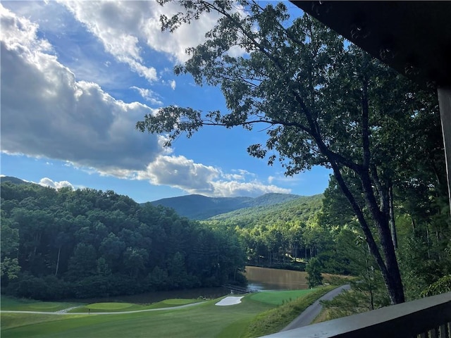 view of home's community with a forest view and a water and mountain view