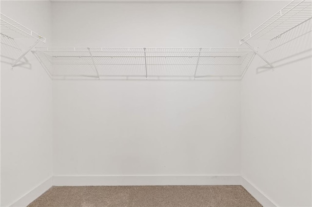 walk in closet with carpet