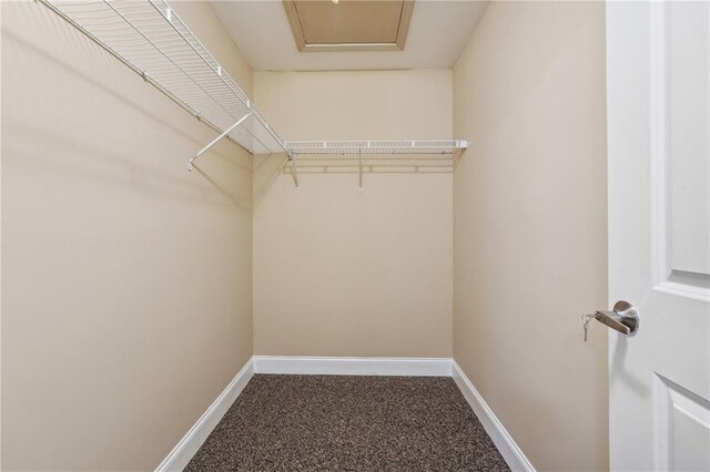 walk in closet featuring carpet floors