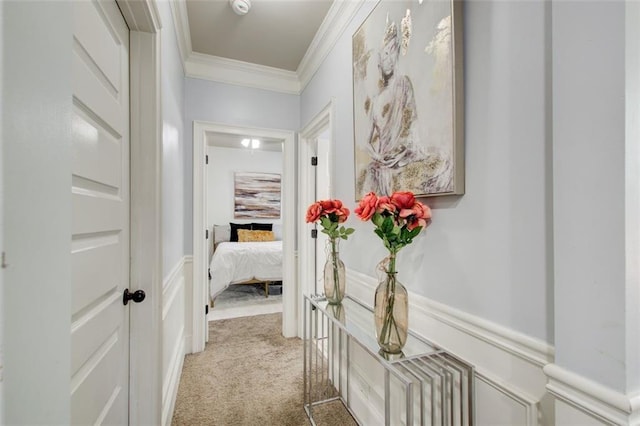 hallway featuring crown molding, carpet, and wainscoting