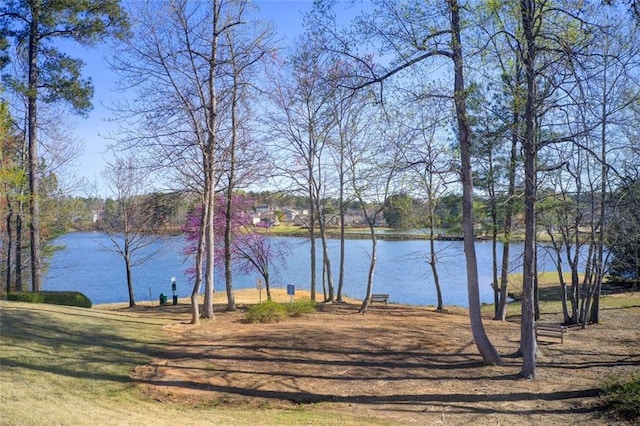 water view