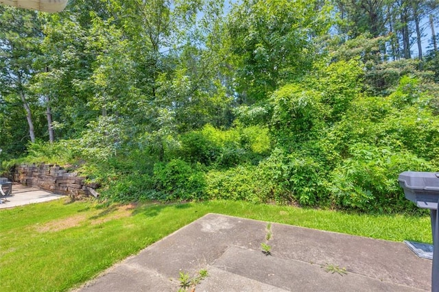 6178 Field Stone Dr, Douglasville, GA 30134 - view of green lawn featuring a patio area