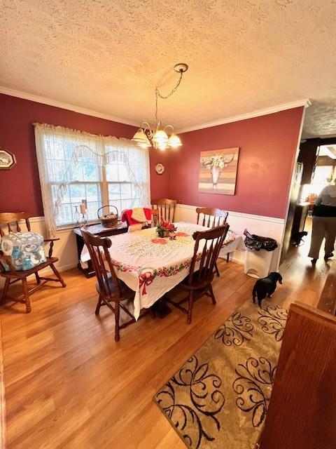 dining area featuring a textured ceiling, an inviting chandelier, light wood-style flooring, and ornamental molding