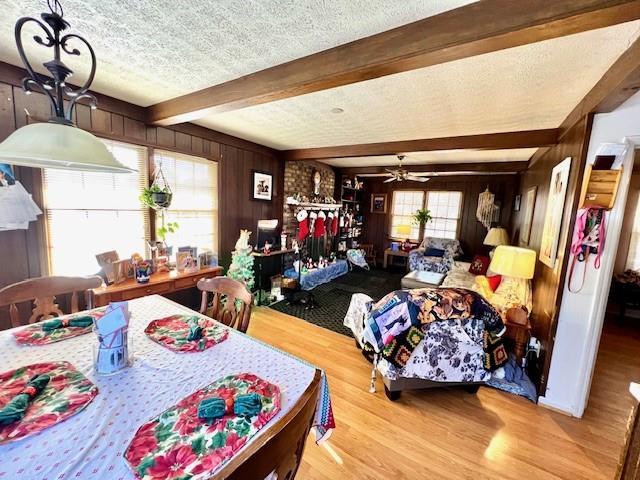 dining space with wooden walls, a ceiling fan, wood finished floors, a textured ceiling, and beamed ceiling