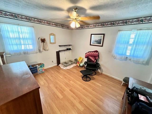 interior space with a wealth of natural light, baseboards, light wood finished floors, and a textured ceiling
