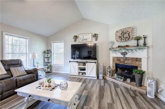 10 Alexandria Ln, Dallas, GA 30132 - living room with wood finished floors, a stone fireplace, and vaulted ceiling