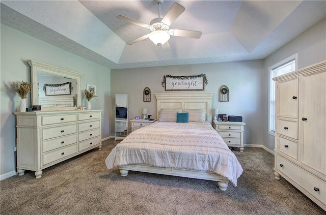 10 Alexandria Ln, Dallas, GA 30132 - carpeted bedroom with a raised ceiling and a ceiling fan