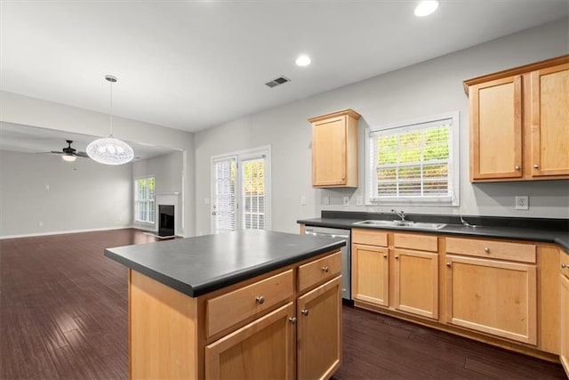 kitchen with stainless steel dishwasher, a wealth of natural light, pendant lighting, and dark hardwood / wood-style flooring