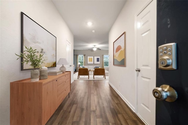 3530 Ridge Hill Pkwy, Douglasville, GA 30135 - hall featuring dark wood-style floors and baseboards