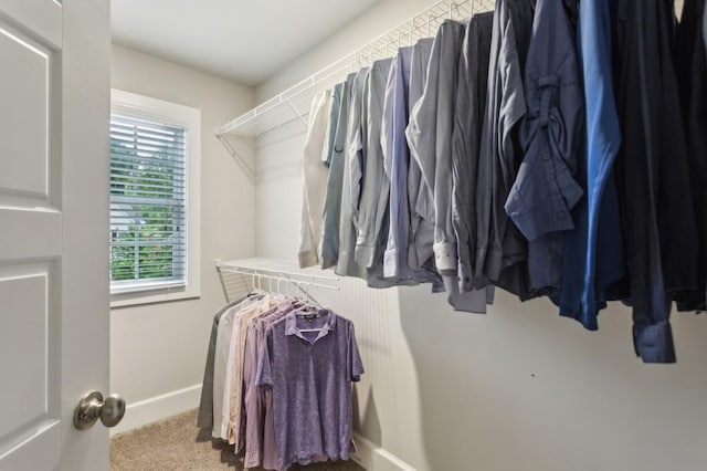 spacious closet with carpet