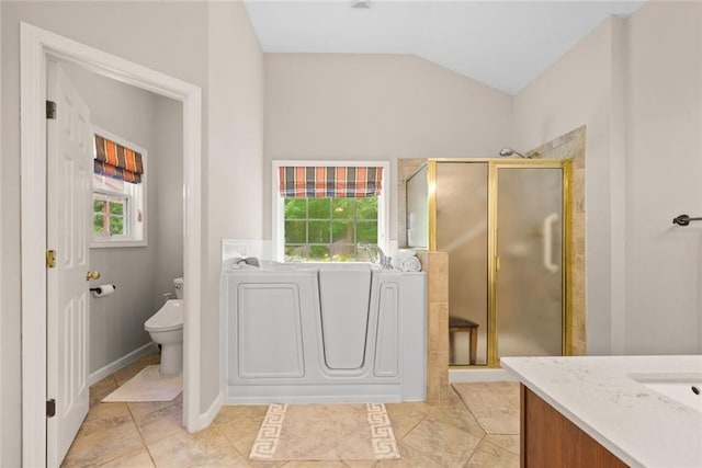 3633 Gilpin Ct, Lawrenceville, GA 30044 - bathroom with toilet, a stall shower, vanity, lofted ceiling, and a bath