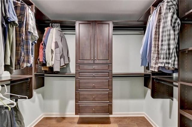 walk in closet featuring wood finished floors