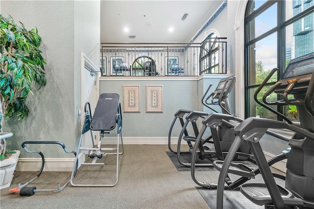 exercise room featuring carpet