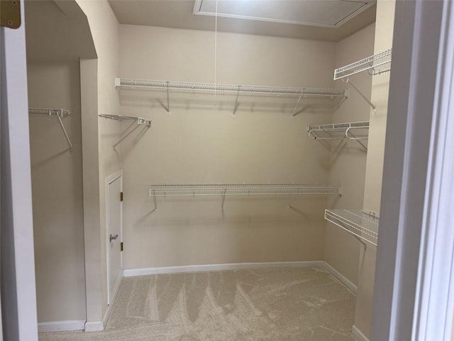 1919 Barrett Knoll Cir NW, Kennesaw, GA 30152 - spacious closet featuring attic access and carpet floors