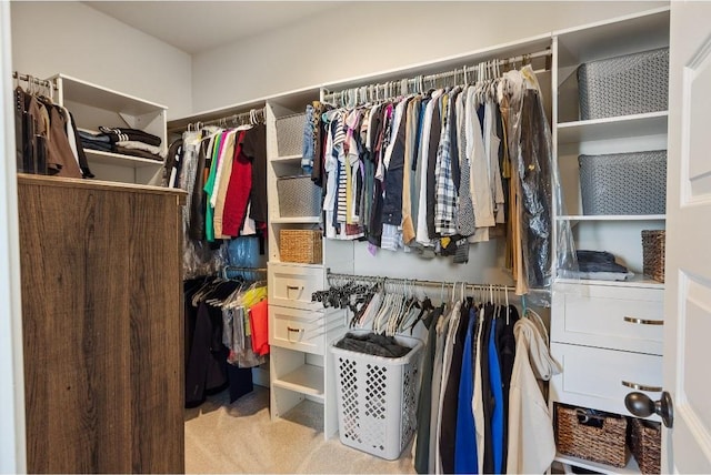 view of spacious closet