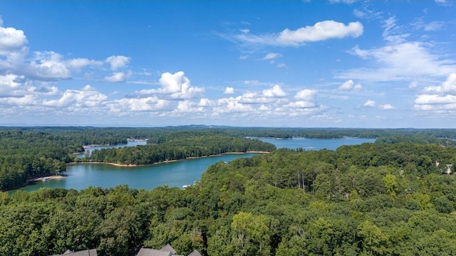 drone / aerial view with a water view and a view of trees