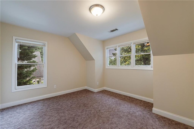 3135 Washington Rd, Atlanta, GA 30344 - additional living space featuring plenty of natural light, carpet flooring, baseboards, and vaulted ceiling