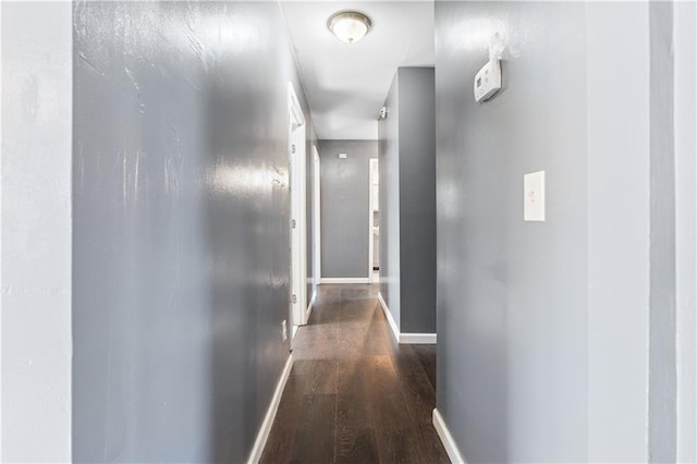 corridor with dark hardwood / wood-style floors