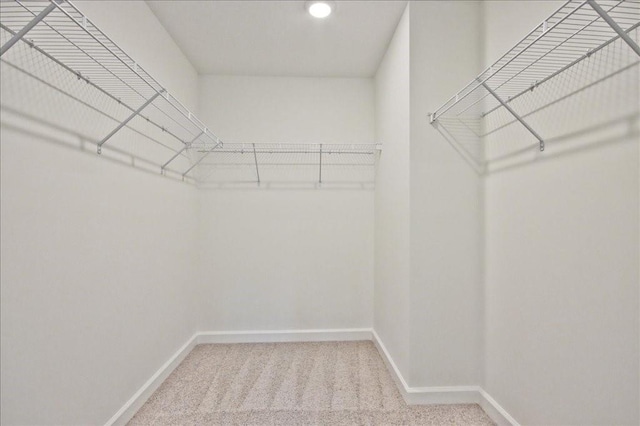 spacious closet with light colored carpet