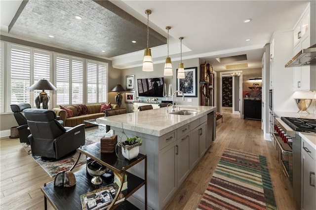 kitchen with appliances with stainless steel finishes, gray cabinets, a sink, open floor plan, and light wood finished floors