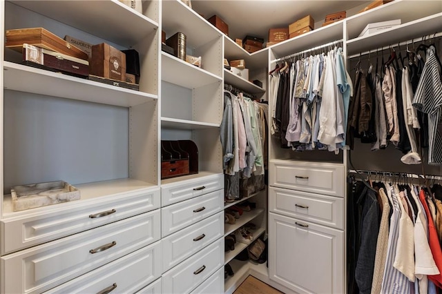 view of spacious closet