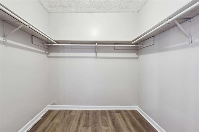 spacious closet featuring wood finished floors